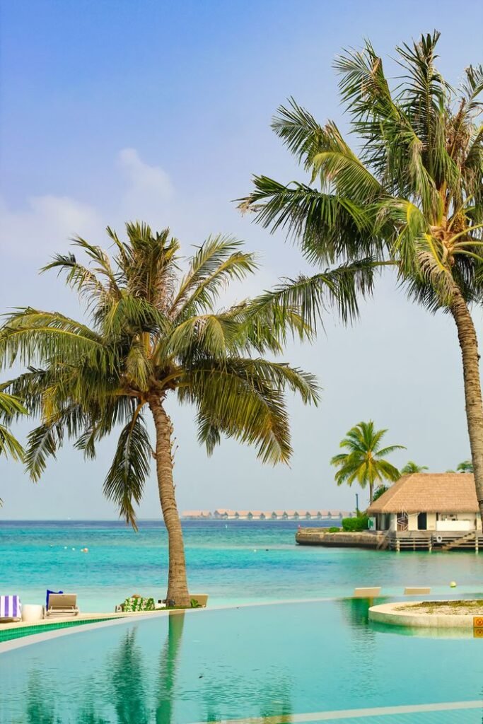 A picturesque view of palm trees by the turquoise waters in a Maldives resort.